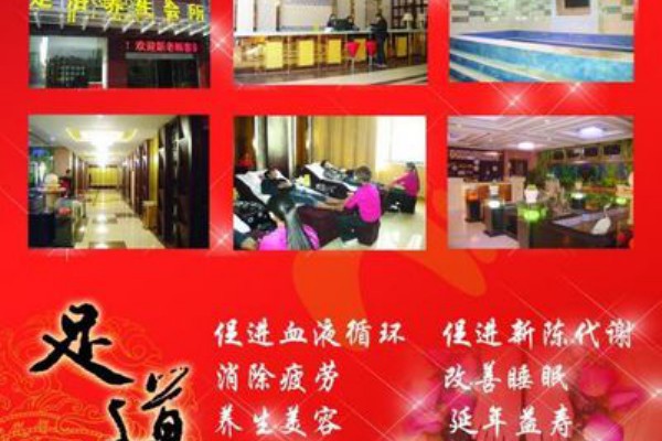 合肥嫩茶工作室：品味新茶嫩芽，尽享茶香四溢的雅趣